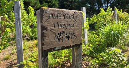 Chatham Vineyard View