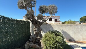 A well-maintained garden with a large tree, a small bush, and a swimming pool. - Villa with private Pool/Aircon/Wi-Fi - Villa Montgrí (L'Escala)
