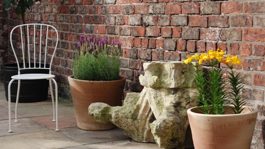 セント デニス ビュー ウィズ フリー パーキング