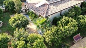 Ein Haus mit Ziegeldach, Solaranlage und einem Garten mit verschiedenen Bäumen und Pflanzen.