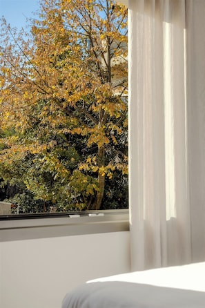 Vue de la chambre