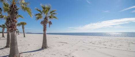 Accommodatie ligt op het strand
