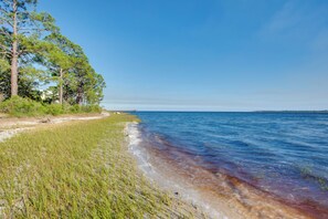 A coastal landscape with a clear sky, grassy beach, and trees.