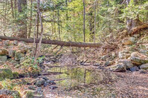 A forested area with a stream, rocks, and trees. - Hiking & Snowmobile Trails On-site: Alton Retreat! (Alton)