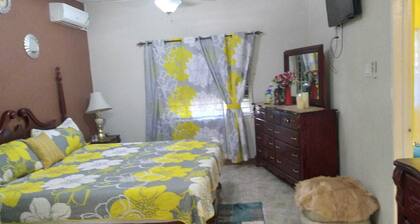 Room-charming Kingston Room for Rent - P