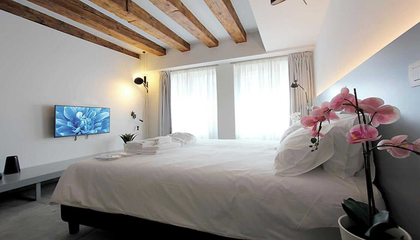 A modern bedroom with a large bed, a flat-screen TV, a potted orchid, and a window with curtains.