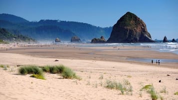Playa
