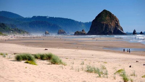 A beach with a large rock formation in the distance, sandy shore, and some vegetation in the foreground.