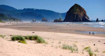 Sea Star Suite 257 - Close to the Beach!