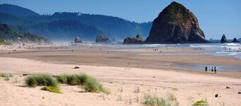 Sea Star Suite 256 - Close to the Beach!