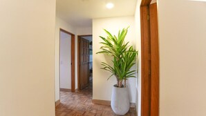 Un pasillo con suelo de parqué, una planta grande en maceta y una puerta de madera.