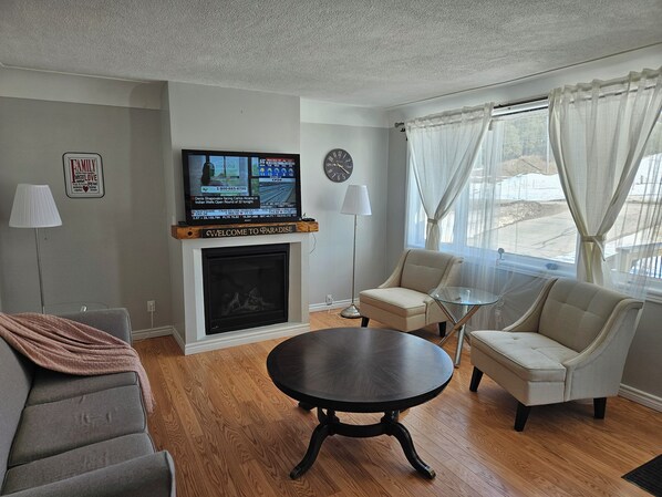 Televisión, chimenea y libros 