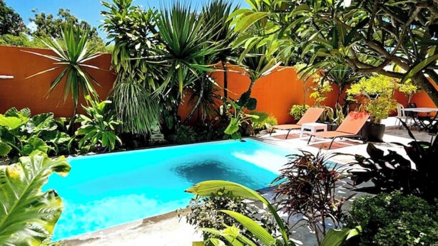 A pool surrounded by lush tropical plants and a bright orange wall. - Mapou Studio Apartment with Pool 15min from Grand Bay (Mauritius)