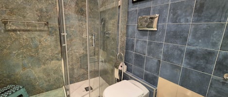 Shower, hair dryer, bidet, towels