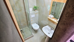 A bathroom with a glass shower enclosure, a toilet, a sink, and a mirror.