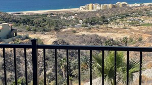 A coastal view with a beach, buildings, and dry vegetation.