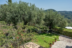 A garden with olive trees, a stone pathway, and a view of a hilly landscape. - Alisachni Apartments (Corfu)