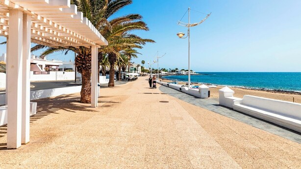 A coastal walkway with palm trees, a beach, and a clear sky.