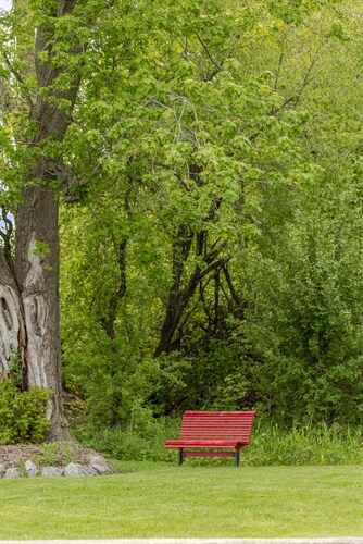 The Picton Beautiful Couple`s Getaway