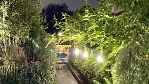 Ein stimmungsvoller Nachtweg, gesäumt von üppigem Grün und beleuchtet mit Lichterketten, der zu einem Hauseingang führt.