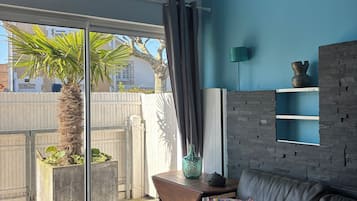 TV connectée, cheminée, jeux vidéo, lecteur de DVD