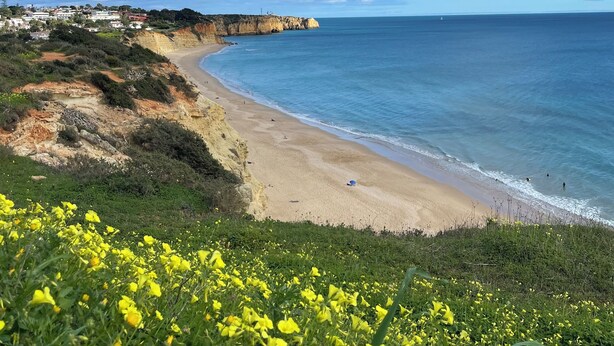 A coastal landscape with a beach, cliffs, and yellow flowers in the foreground. - Ocean Studio by ENDLESS SUN  modern comfort seaview WiFi parking rooftop pool (Lagos)