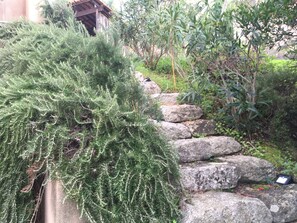 Property grounds - The sea the scrub the silence (Coti-Chiavari)