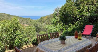 The sea the scrub the silence