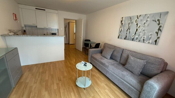 Een moderne woonkamer met een grijze bank, een klein rond tafeltje, en een keuken in de achtergrond.