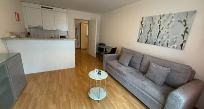 Nice 1BR flat in the city center (Crown 3)