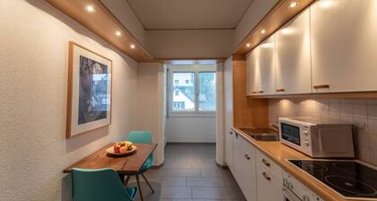 Executive 1BR flat, city center (Hammer 3)