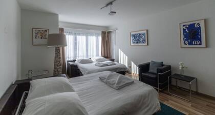 2.5BR flat close to lake/opera/city center (SF10)