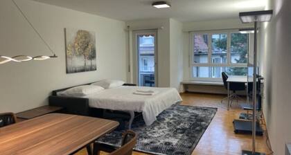 Cozy, sunny, city center 1BR flat (Marble 3)