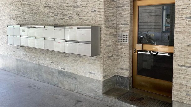 Een gebouwentree met een gevel van steen, een glazen deur en een rij brievenbussen aan de muur.