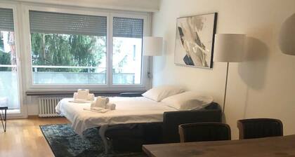 Cozy and sunny 2BR flat in the city center (Sky10)