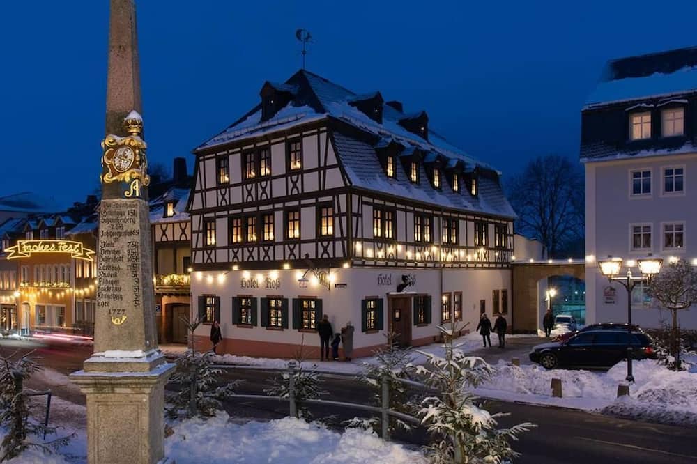 Hotel Roß
