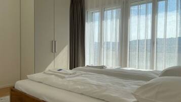 1 bedroom, desk, iron/ironing board, WiFi