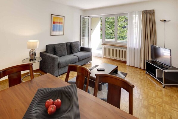 TV - Nice 2BD flat city center / near FIFA (Wille 2) (Zürich)