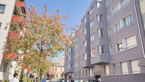Eksteriør