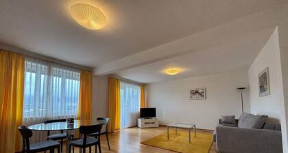 Spacious 1BR near Opera - Mill 5.43