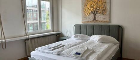 Iron/ironing board, WiFi, bed sheets