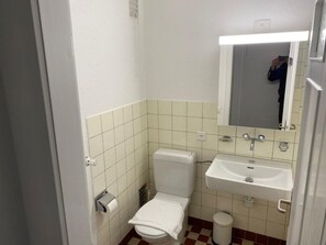 Bathroom features a toilet, sink, and mirror.