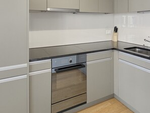Fridge, microwave, oven, stovetop - 2BR flat in the city center (West 12) (Zürich)