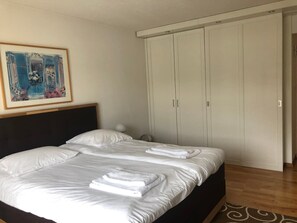 Desk, iron/ironing board, WiFi, bed sheets - Charming Studio/Old town (UZ3) (Zürich)