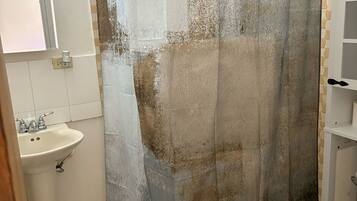 Shower, towels, soap, toilet paper