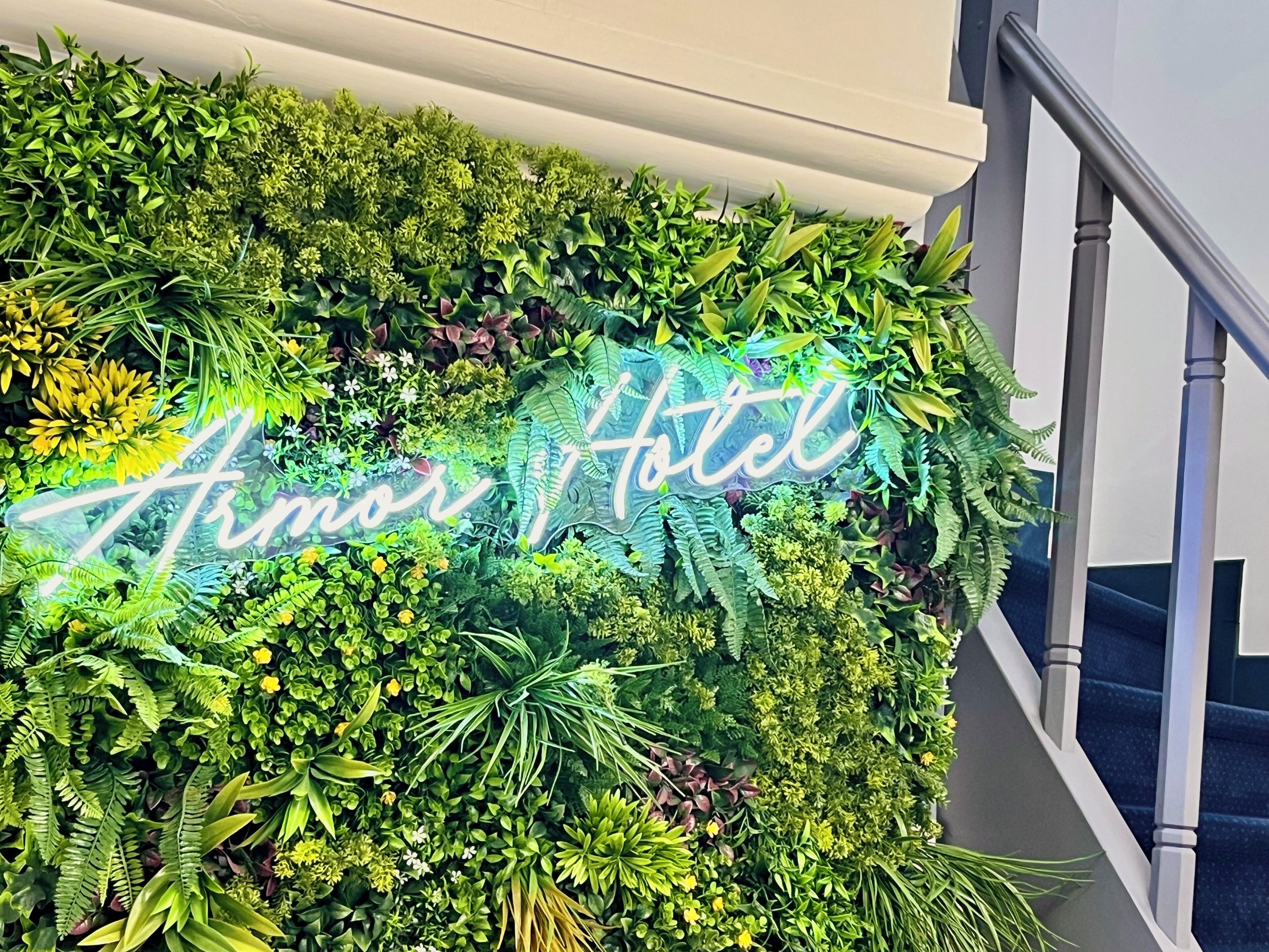 منطقة الاستقبال