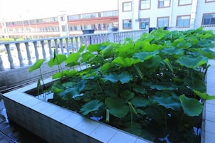 Un jardín en la azotea con una jardinera de hormigón llena de follaje verde.
