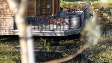 House | Terrace/patio