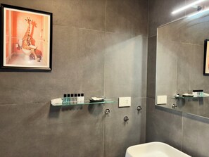 Shower, hair dryer, bidet, towels