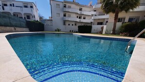 A swimming pool with clear blue water, surrounded by a tiled deck and a palm tree.